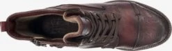 Mustang Enkellaarsjes Veterlaarsjes Dames Bordeaux -Mode Kleding 015d24fd2f91b8e69994aab0008c3bdd
