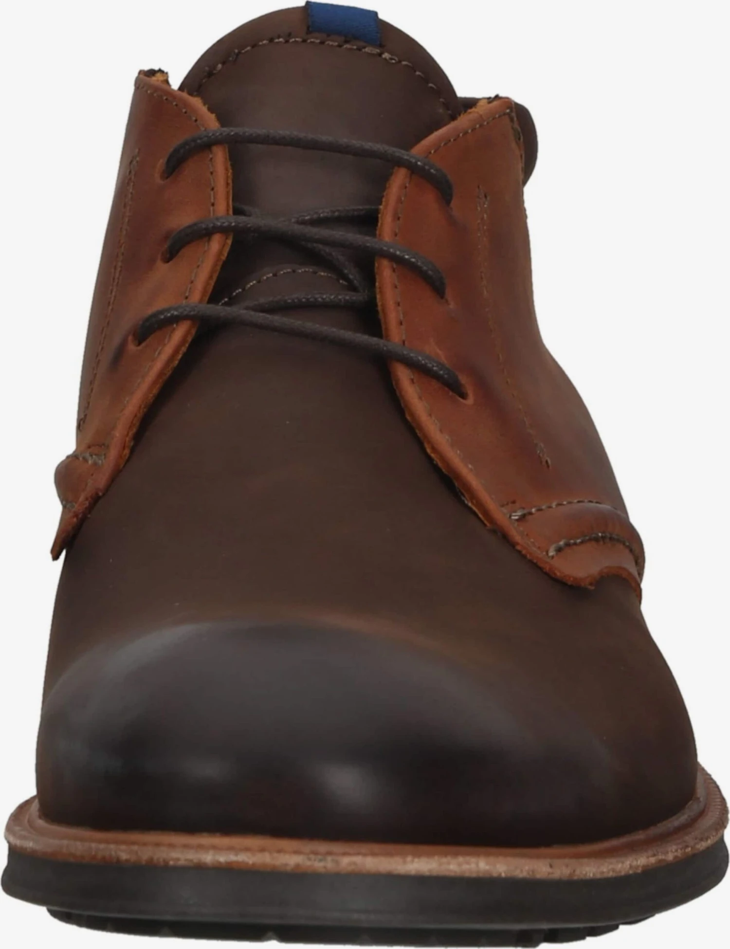 Nette schoenen Veterschoen Melvin Heren Bruin / Cognac Lloyd Nette Schoenen Veterschoen Melvin Heren Bruin / Cognac -Mode Kleding 633ebf471b6911eaa106df5597643a63 scaled
