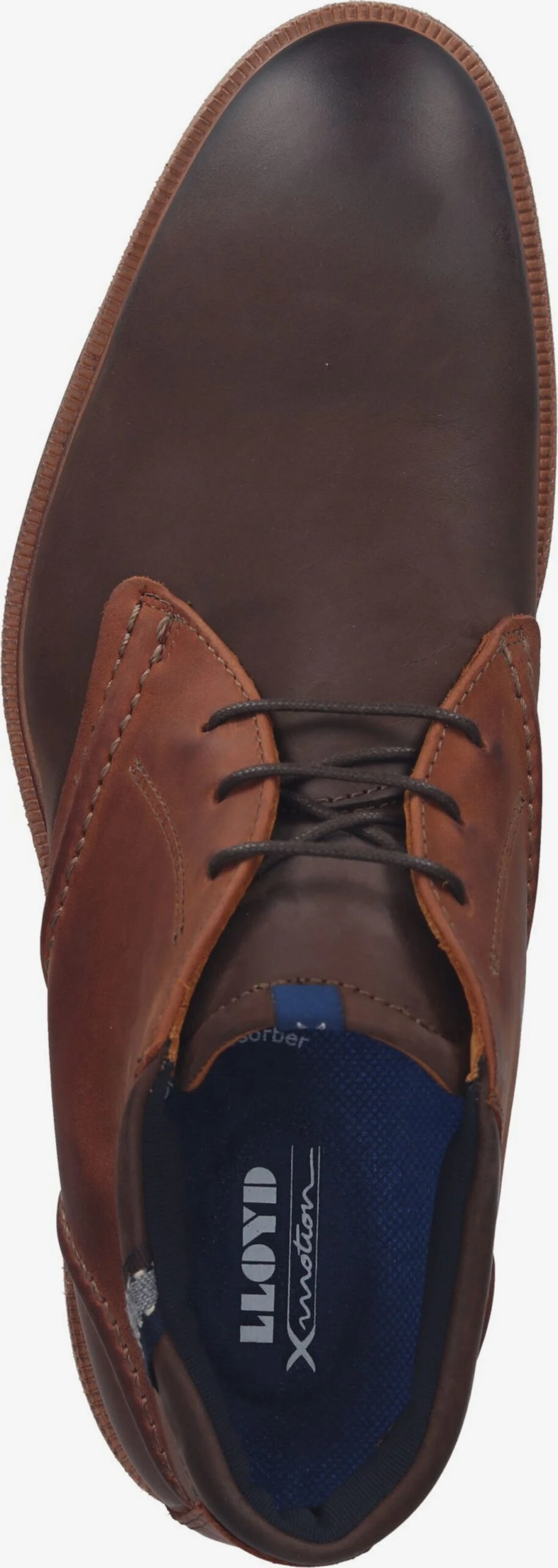 Nette schoenen Veterschoen Melvin Heren Bruin / Cognac Lloyd Nette Schoenen Veterschoen Melvin Heren Bruin / Cognac -Mode Kleding eb850d09f9f819c47fda912835dfa150 scaled